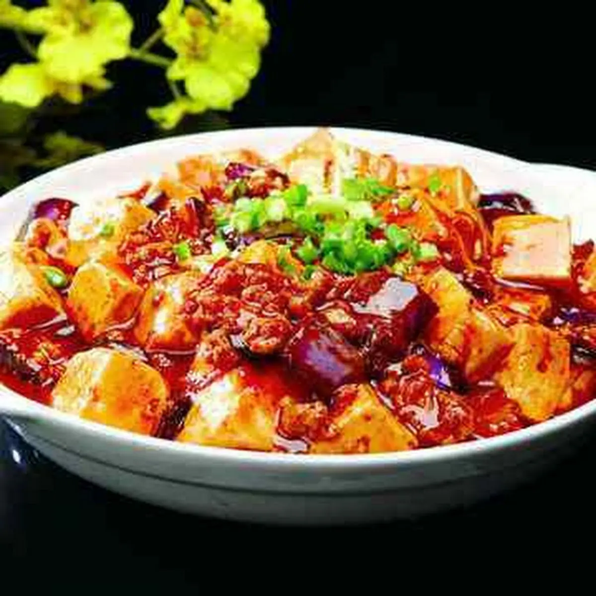 Mapo Doufu