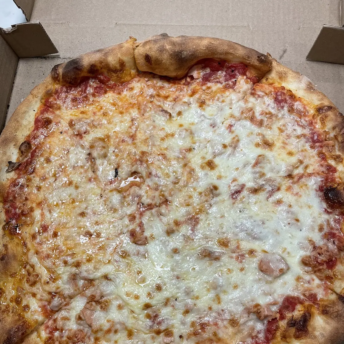 Cheese Pizza