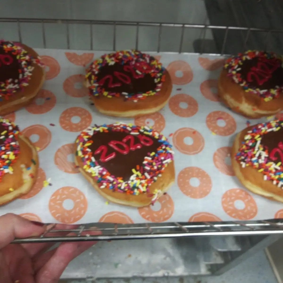 Boston Cream Donuts