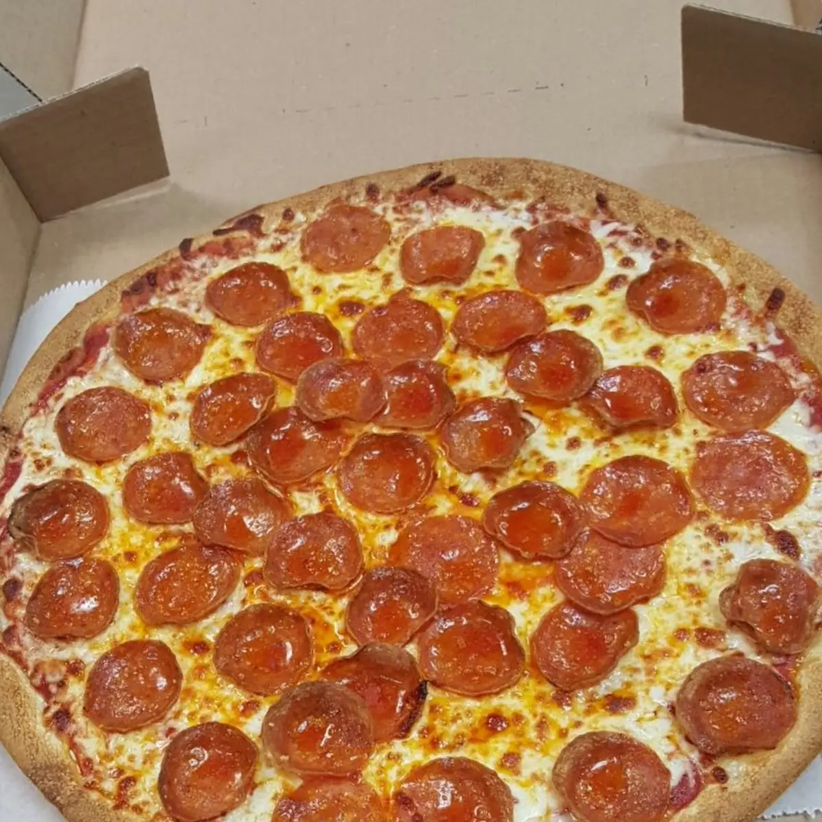 The Veggie Pizza
