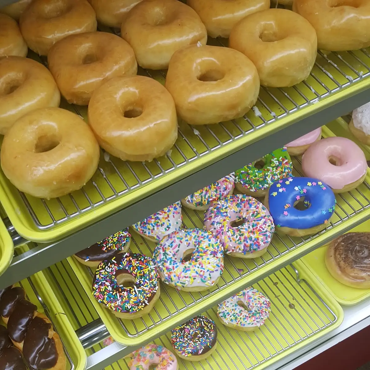 Doughnut