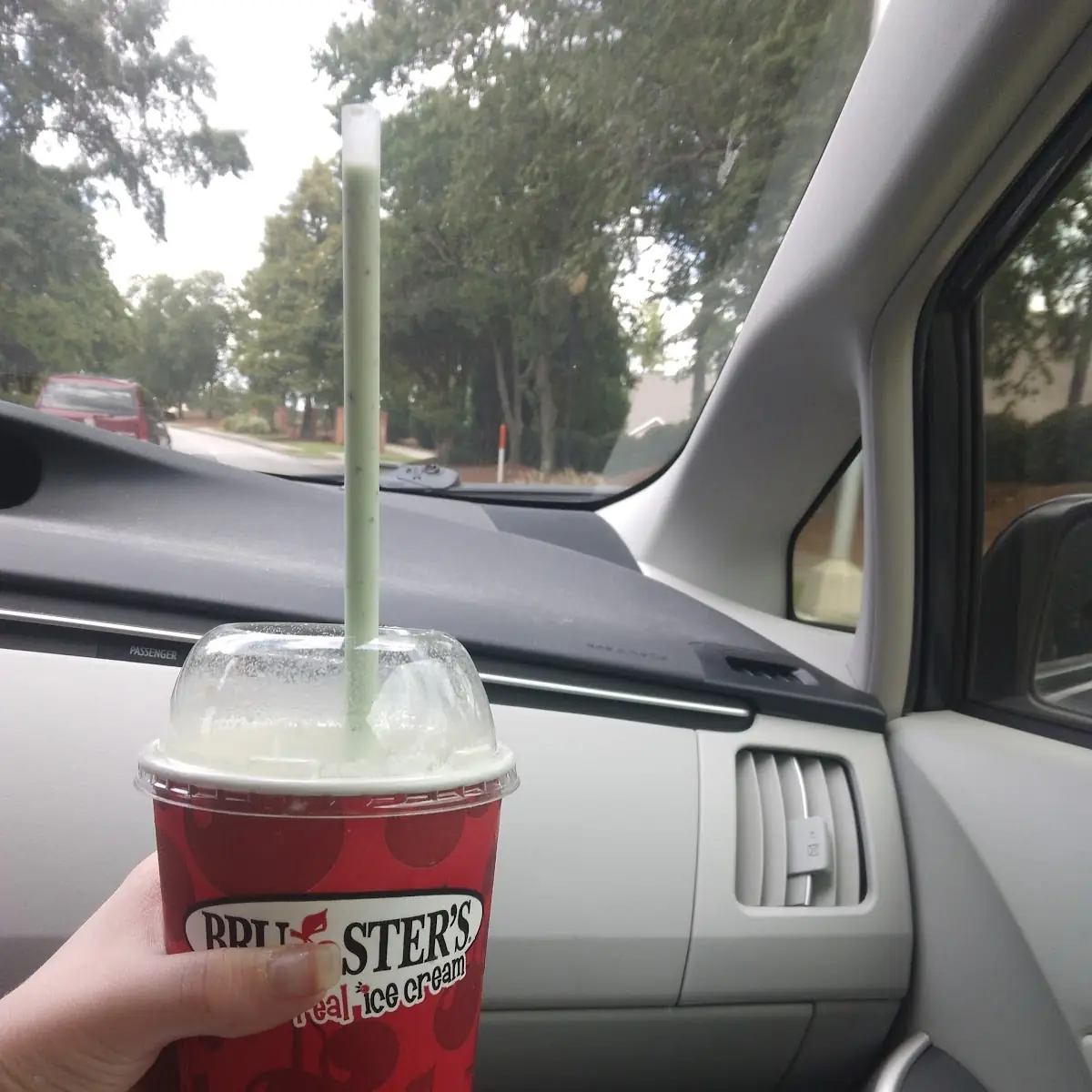 Mint Chocolate Chip Milkshake