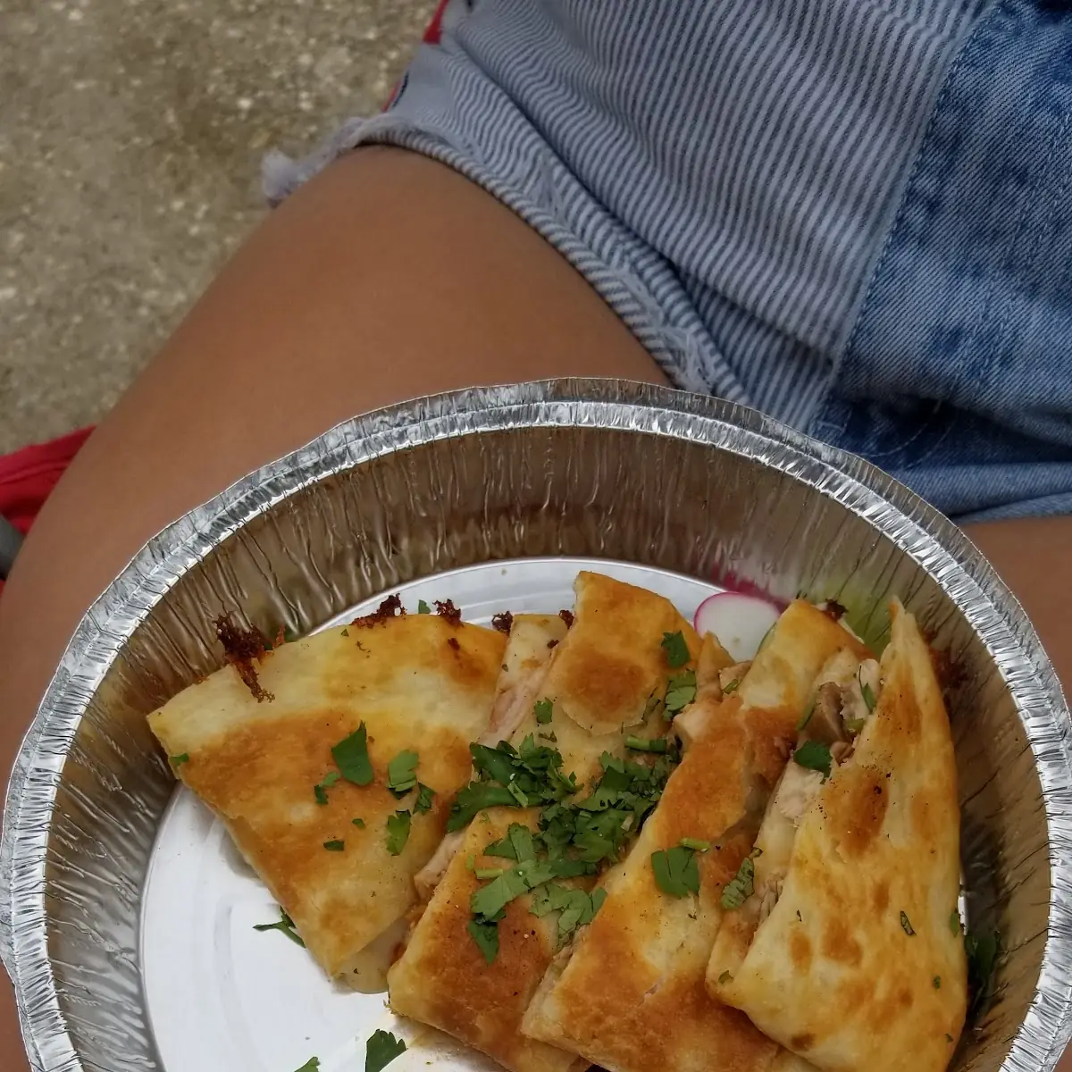 Chicken Quesadilla