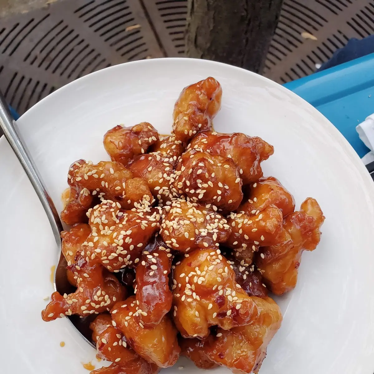 Sesame Chicken Platter