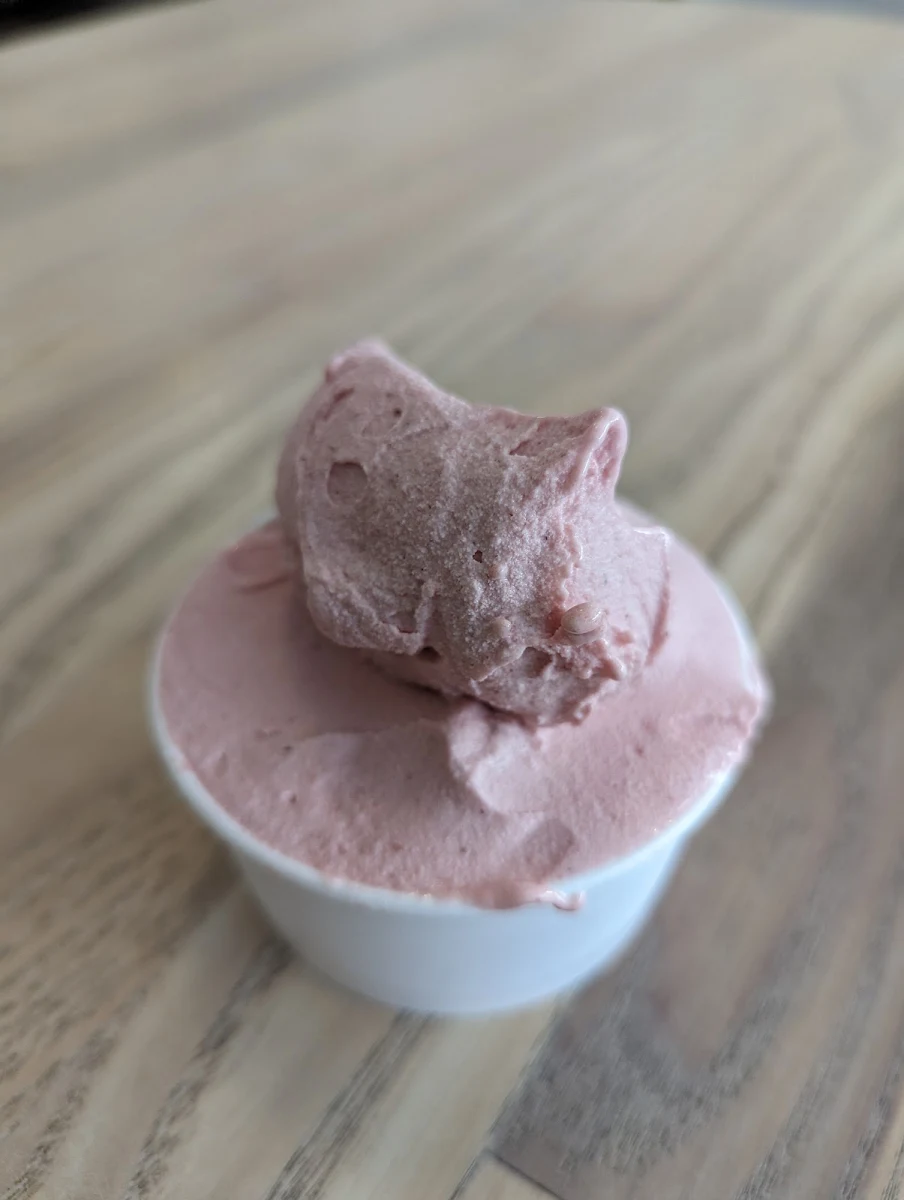 Strawberry Hibiscus Sorbet