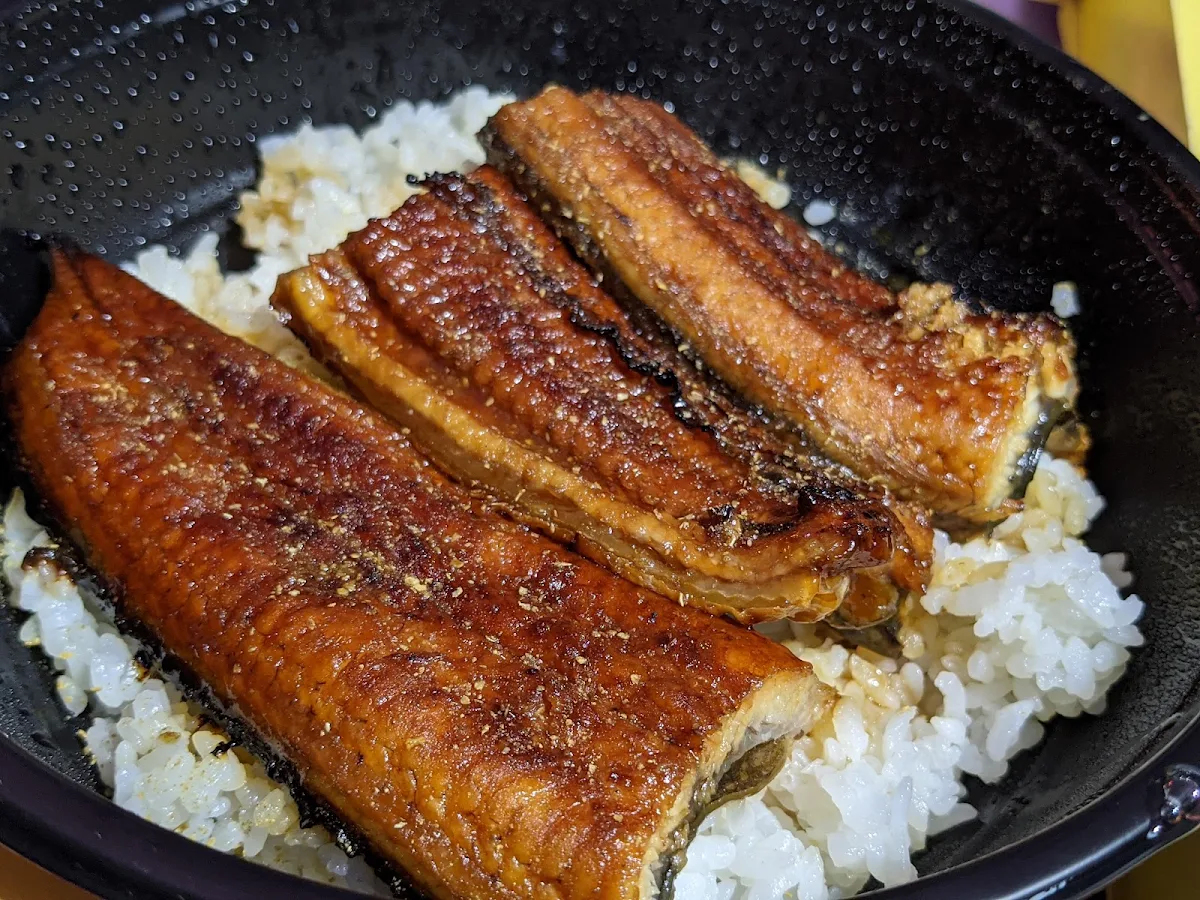 Unagi Don