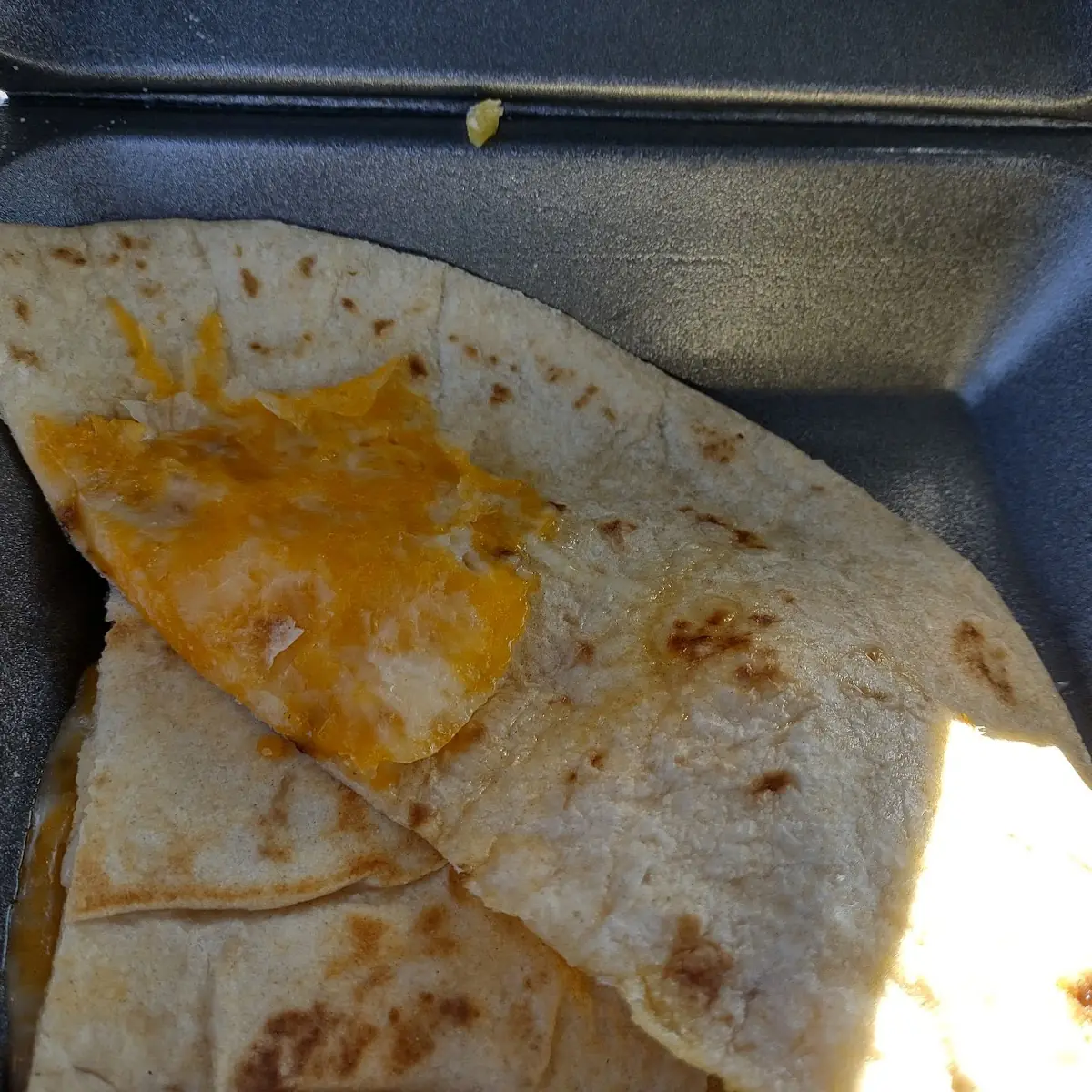 Three Cheese Quesadilla Minus the Cheese Sauce