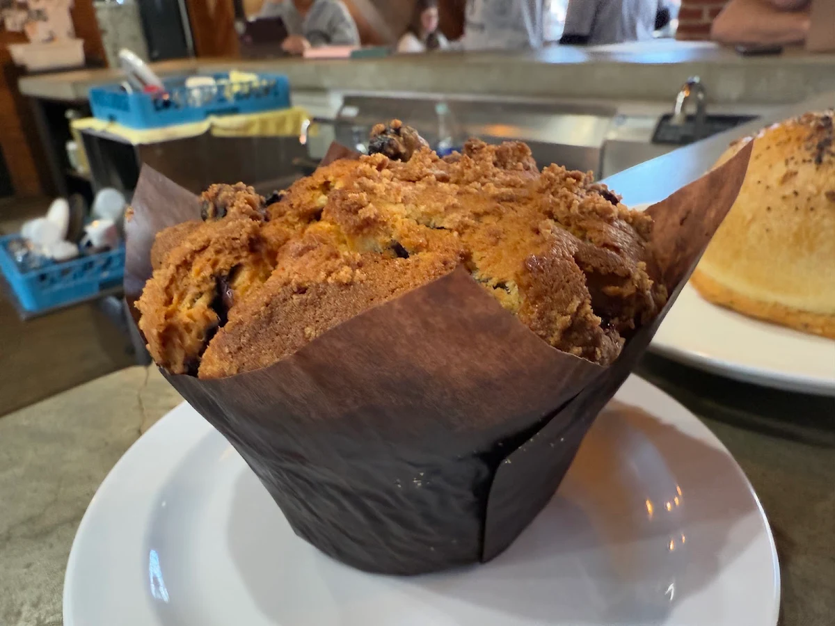 Blueberry Muffin