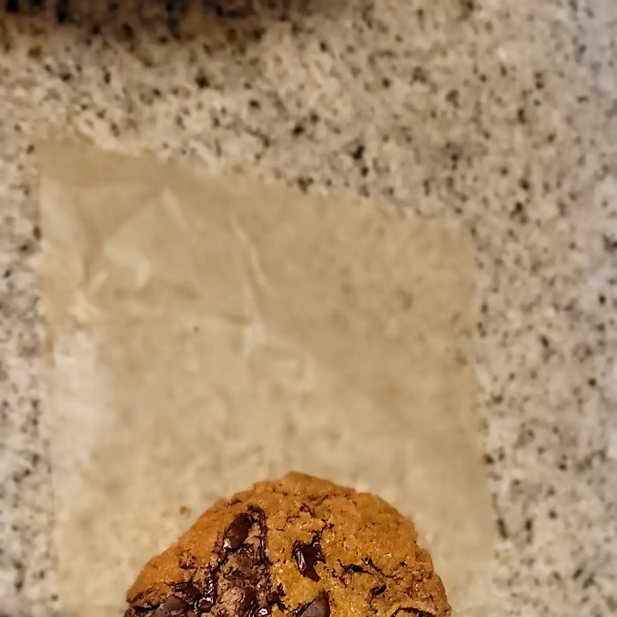 Chocolate Chip Cookie