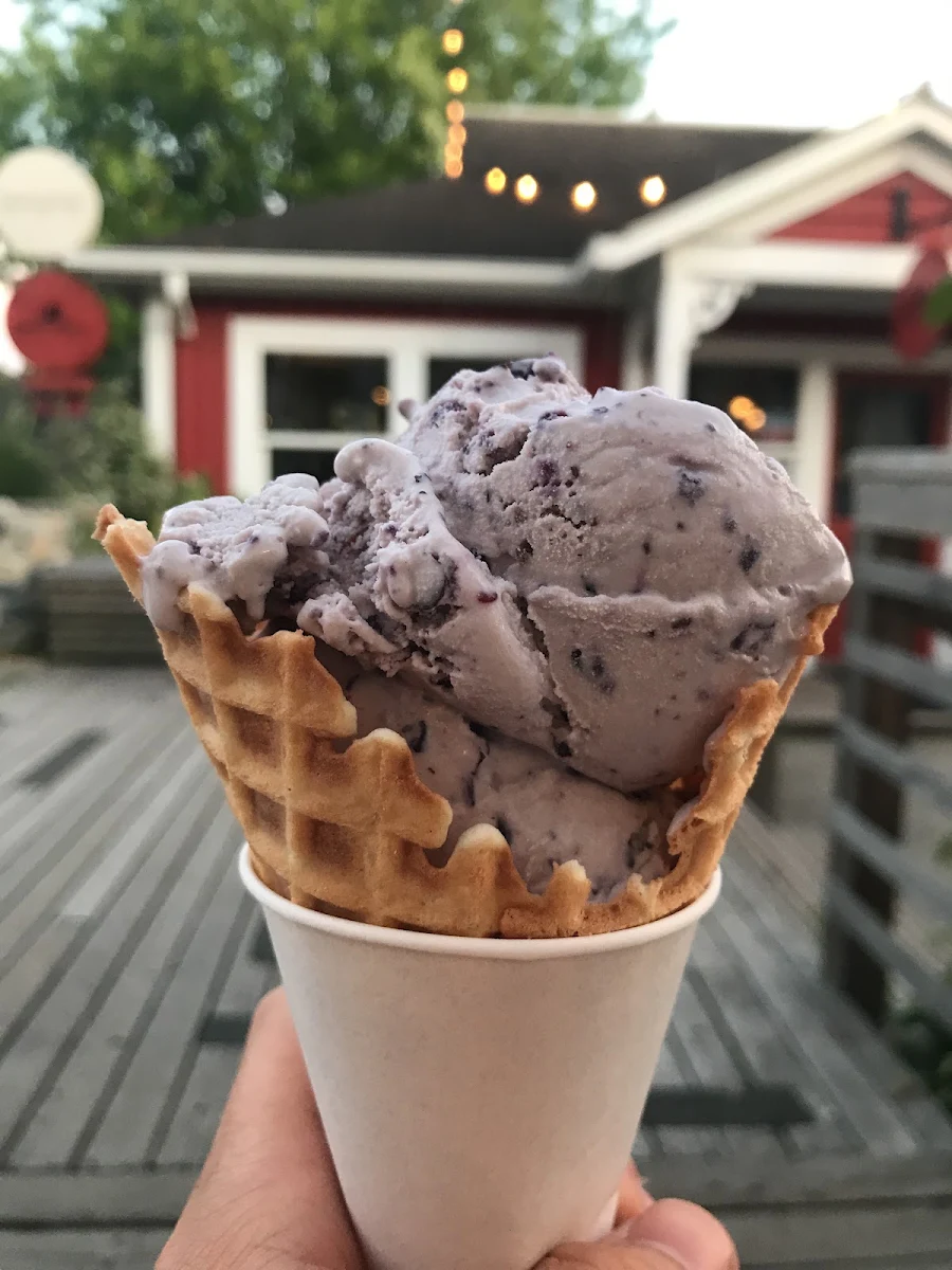 Blueberry Ice Cream in a Waffle Cone