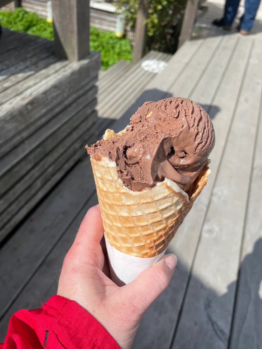 Chocolate Ice Cream Waffle Cone