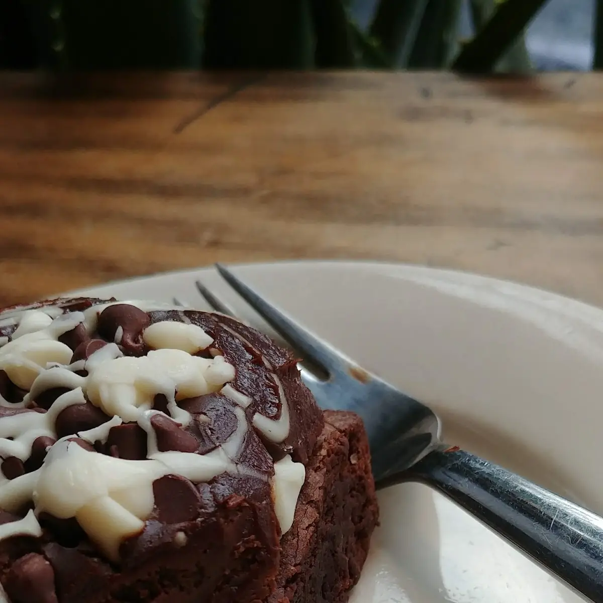 Chocolate Brownie