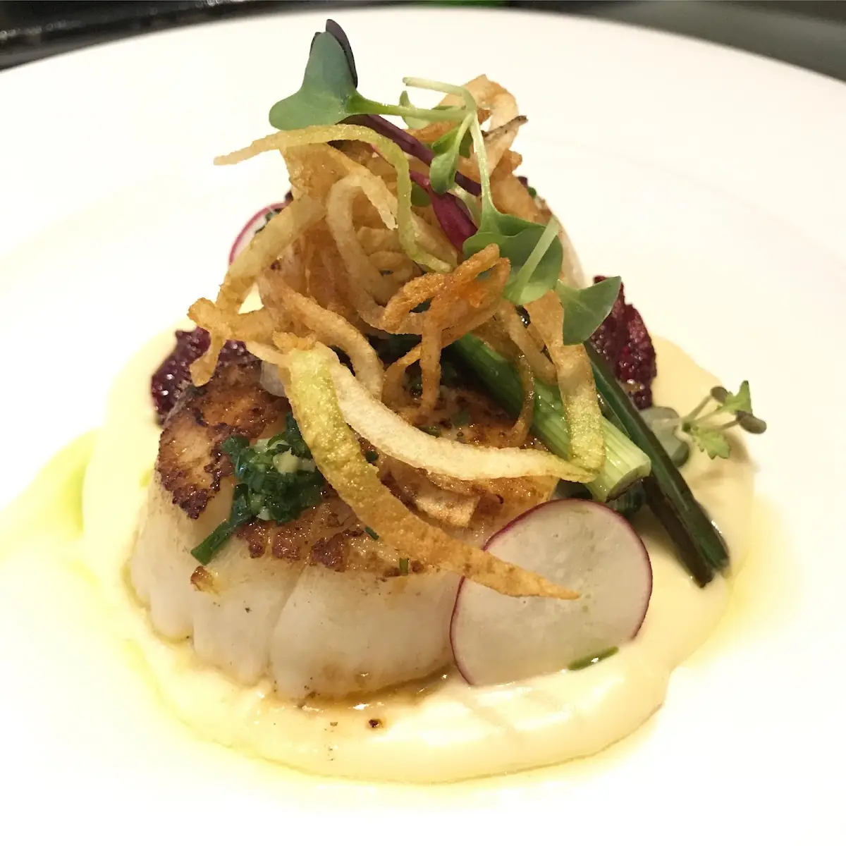 Seared Scallops