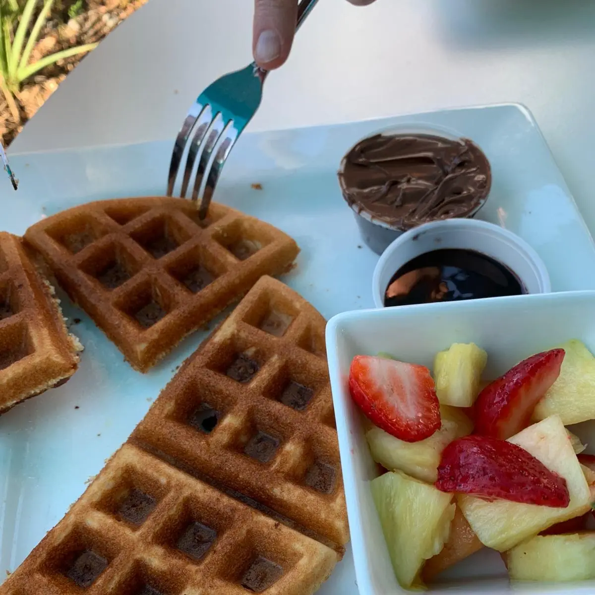 Bennett's Nutella Waffle & Fruit