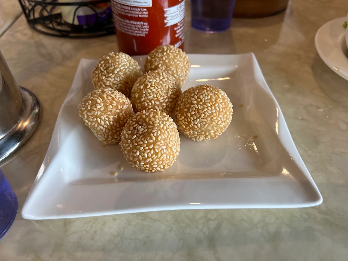 Deeply Fried Sesame Ball