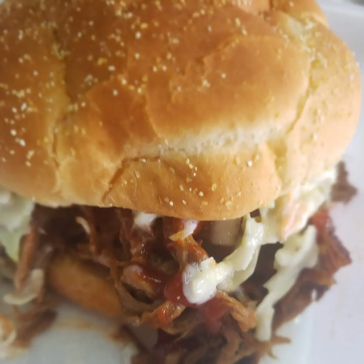 Pulled Pork Sandwich
