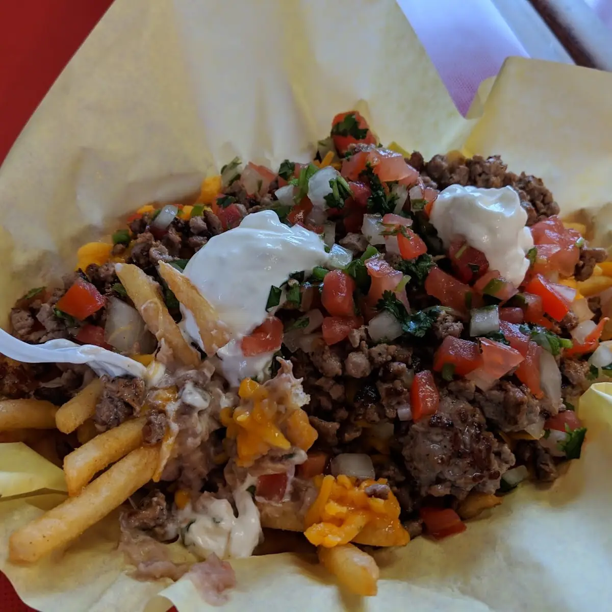 Carne Asada Fries