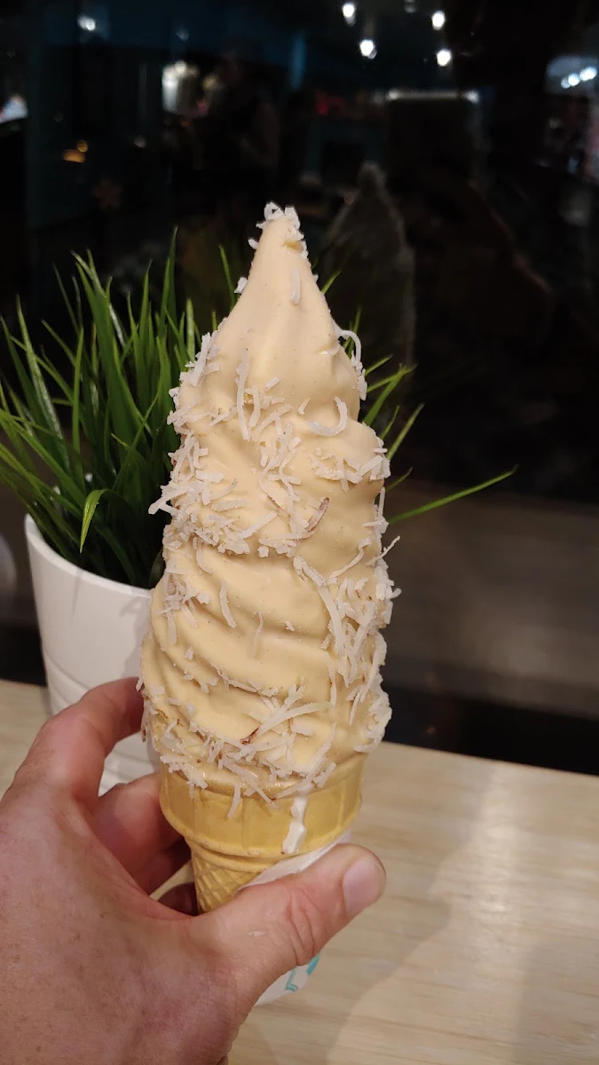 Glace Baileys Et Noix de Coco, La Diperie Plateau Mont-Royal