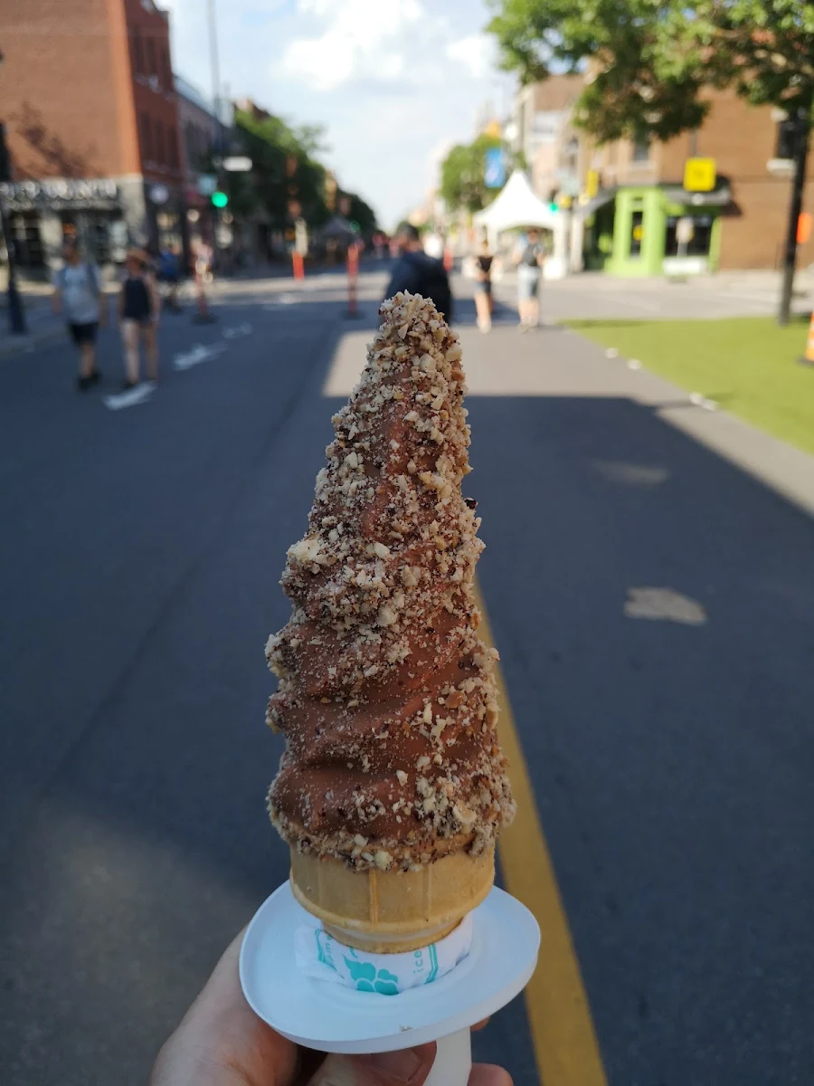 Highlights, La Diperie Plateau Mont-Royal