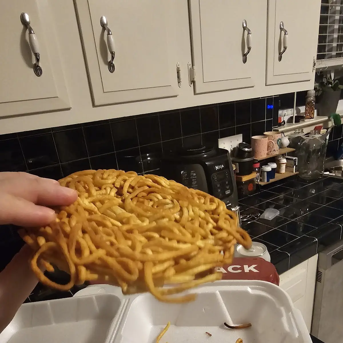 Pan Fried Noodles