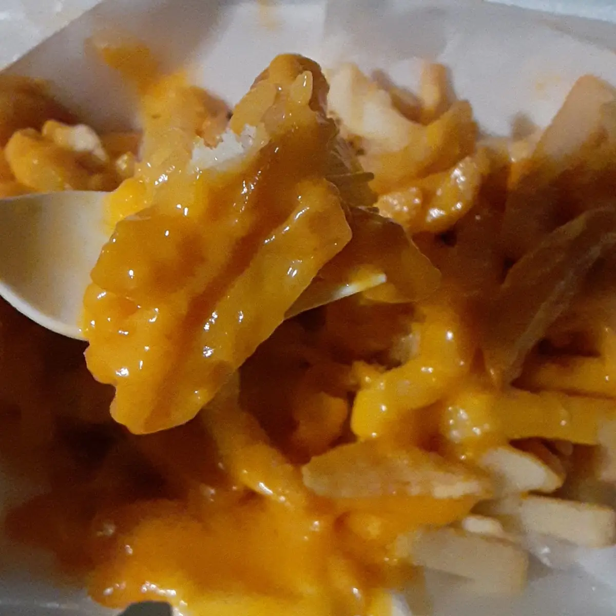 Cheese Fries