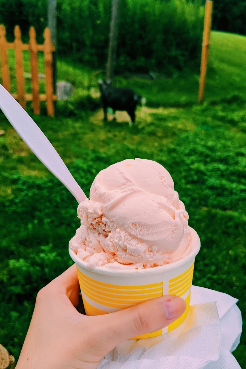 Peach Ice Cream