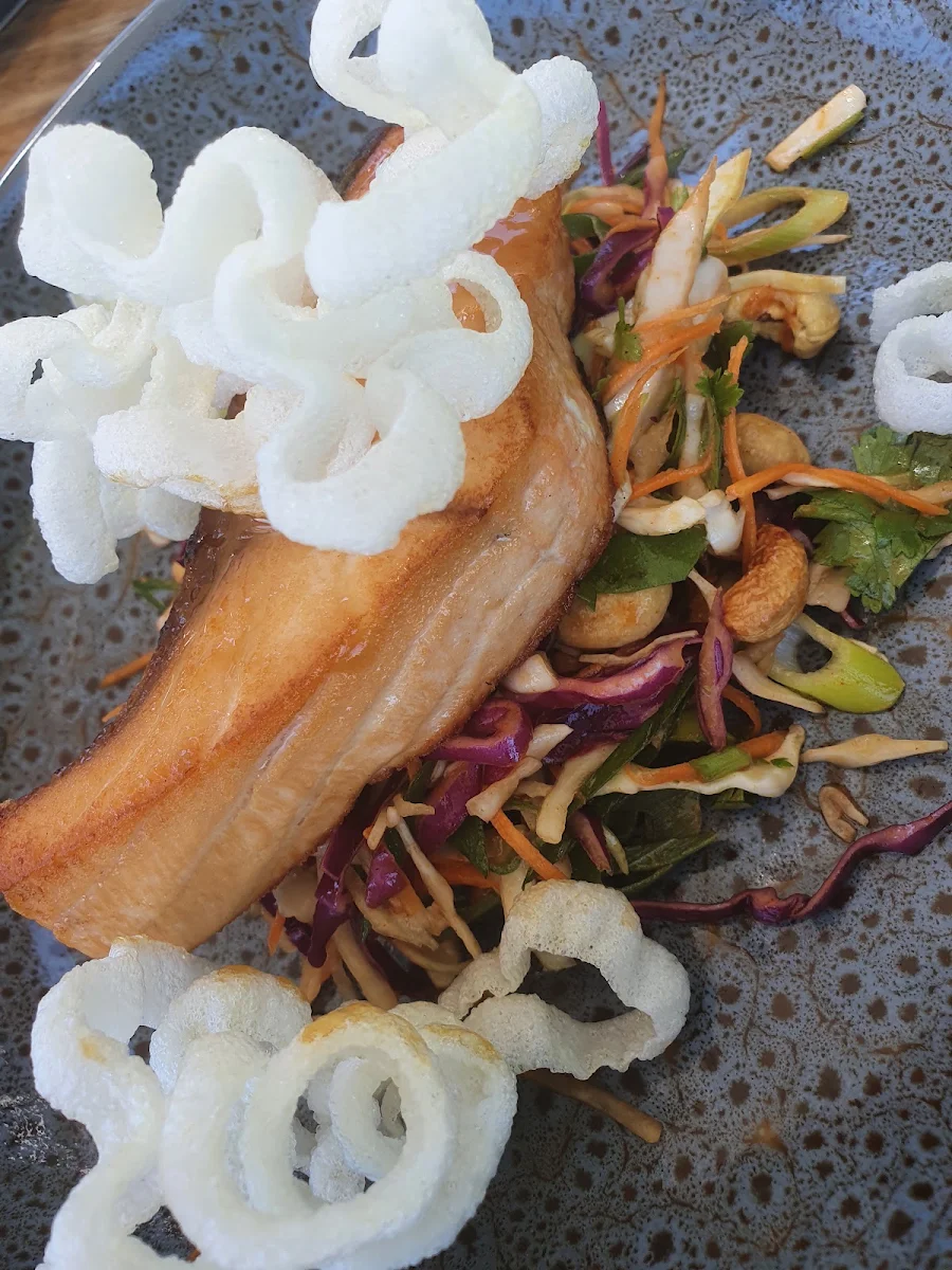 Salmon