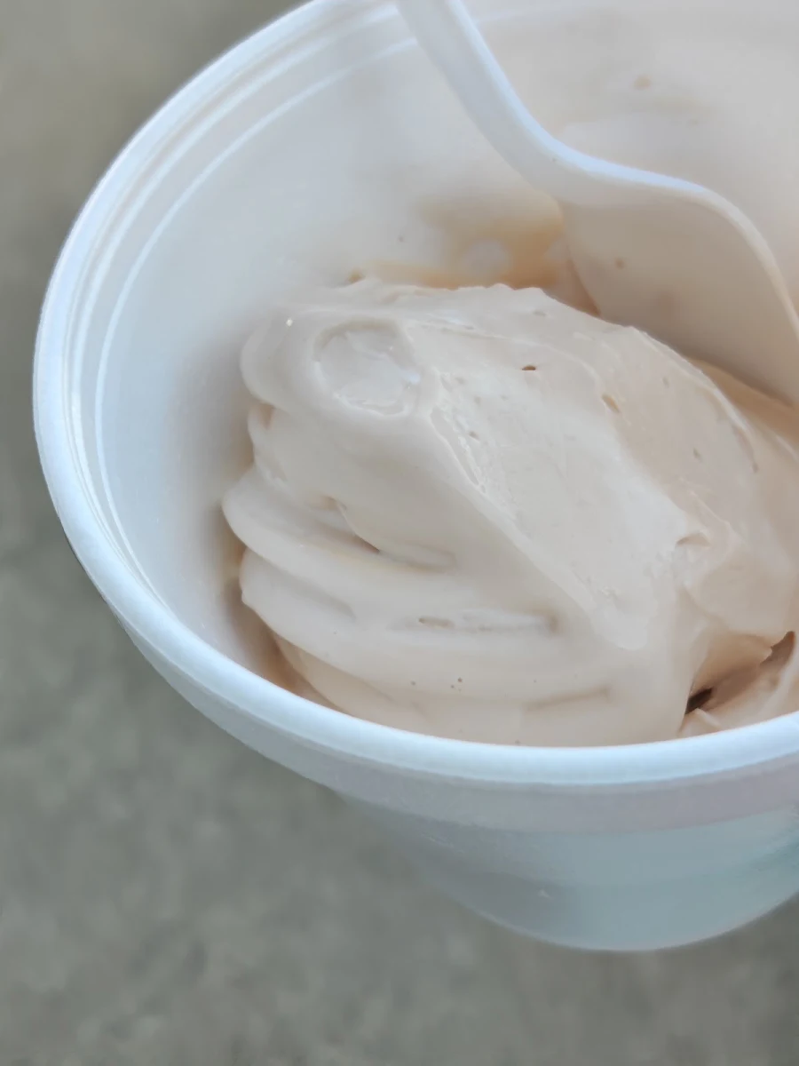 Soft Serve Pumpkin Pie