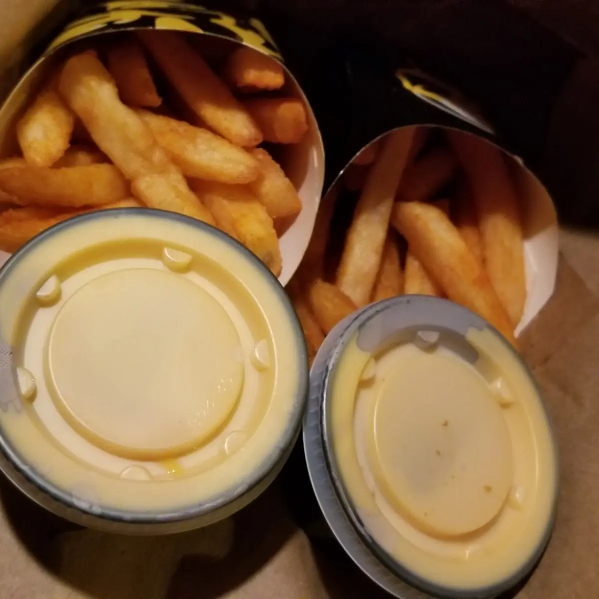 Nacho Cheese Fries