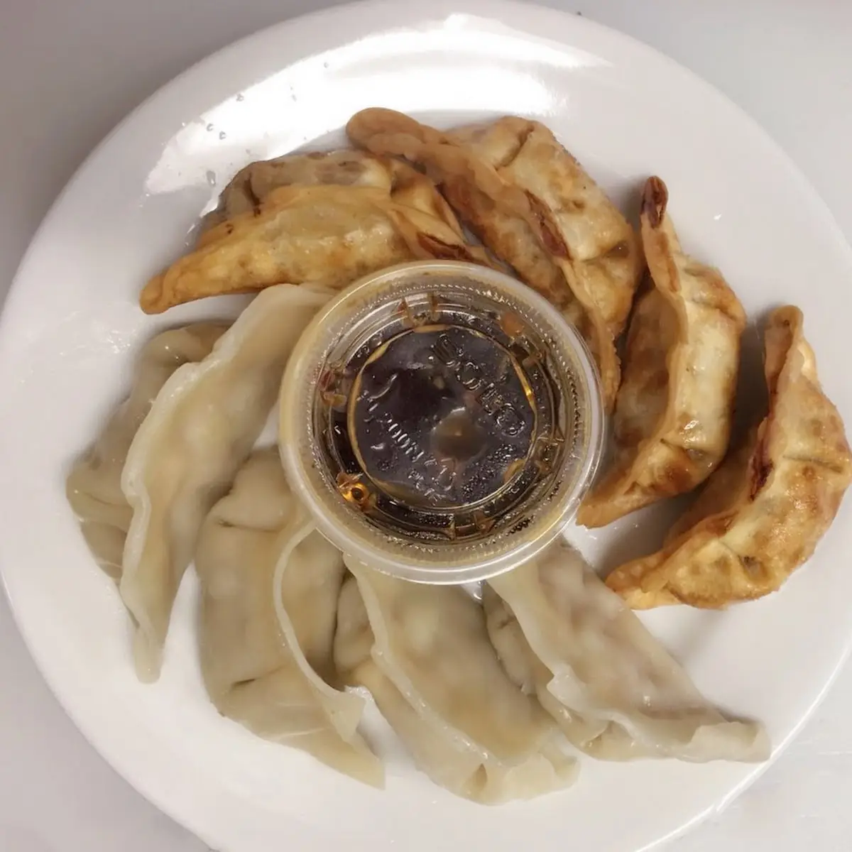 Fried or Steamed Dumplings 8