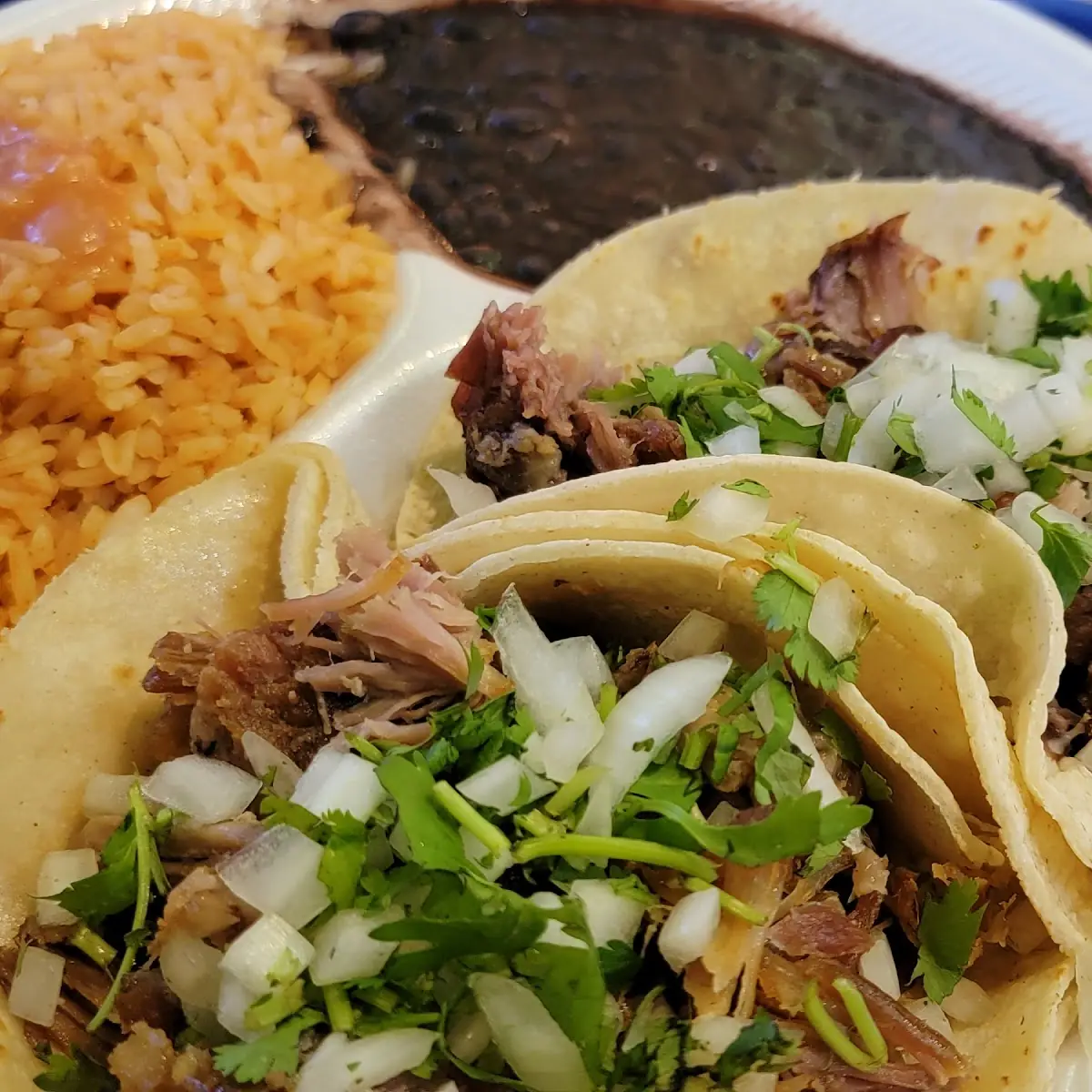 Carnitas Taco Plate with Rice & Black Beans