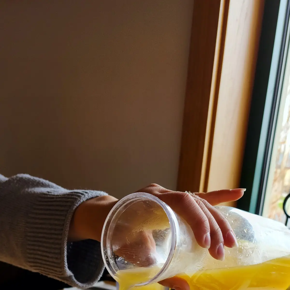 Freshly Squeezed Orange Juice
