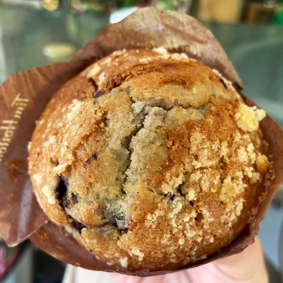 Blueberry Muffin