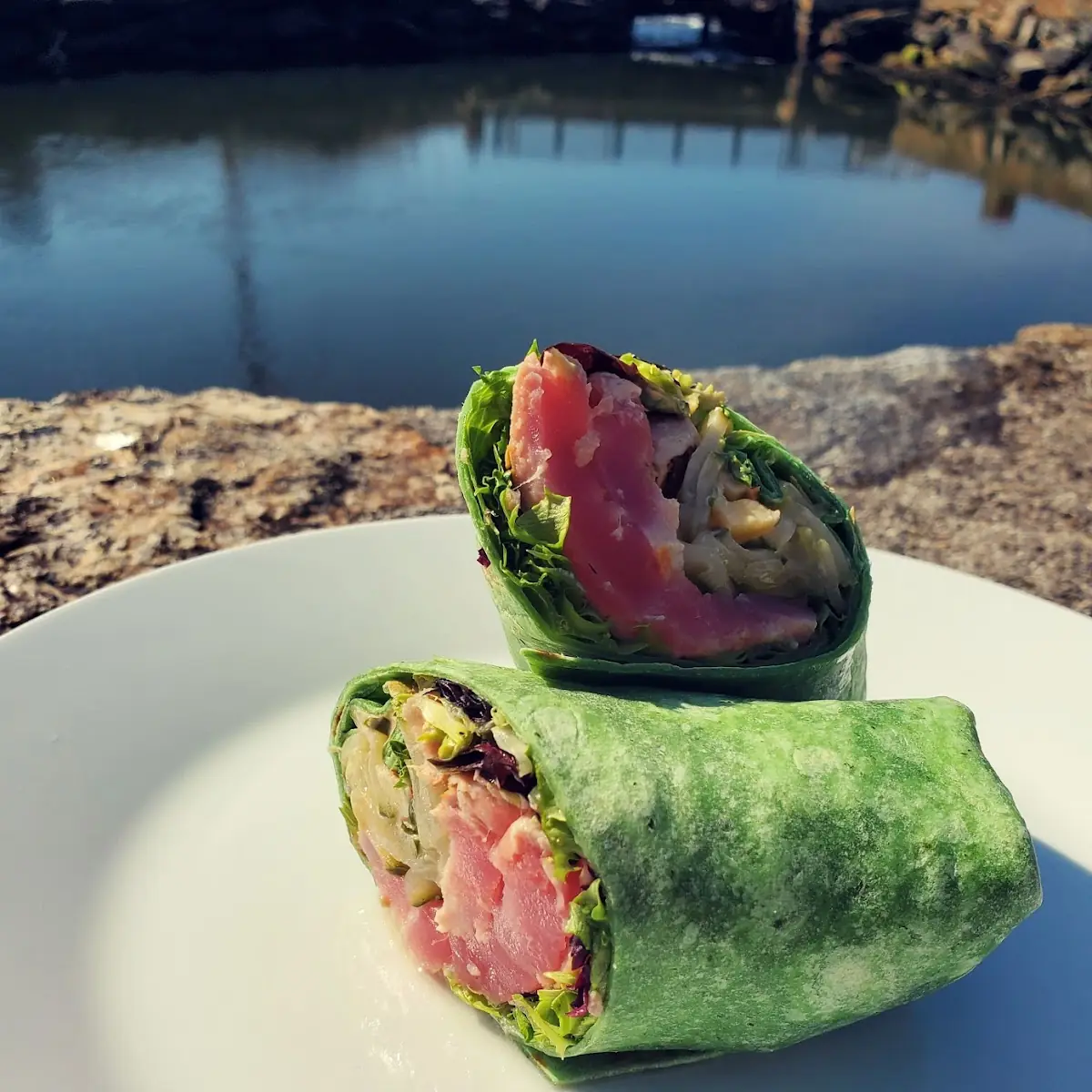Seared Tuna Wrap
