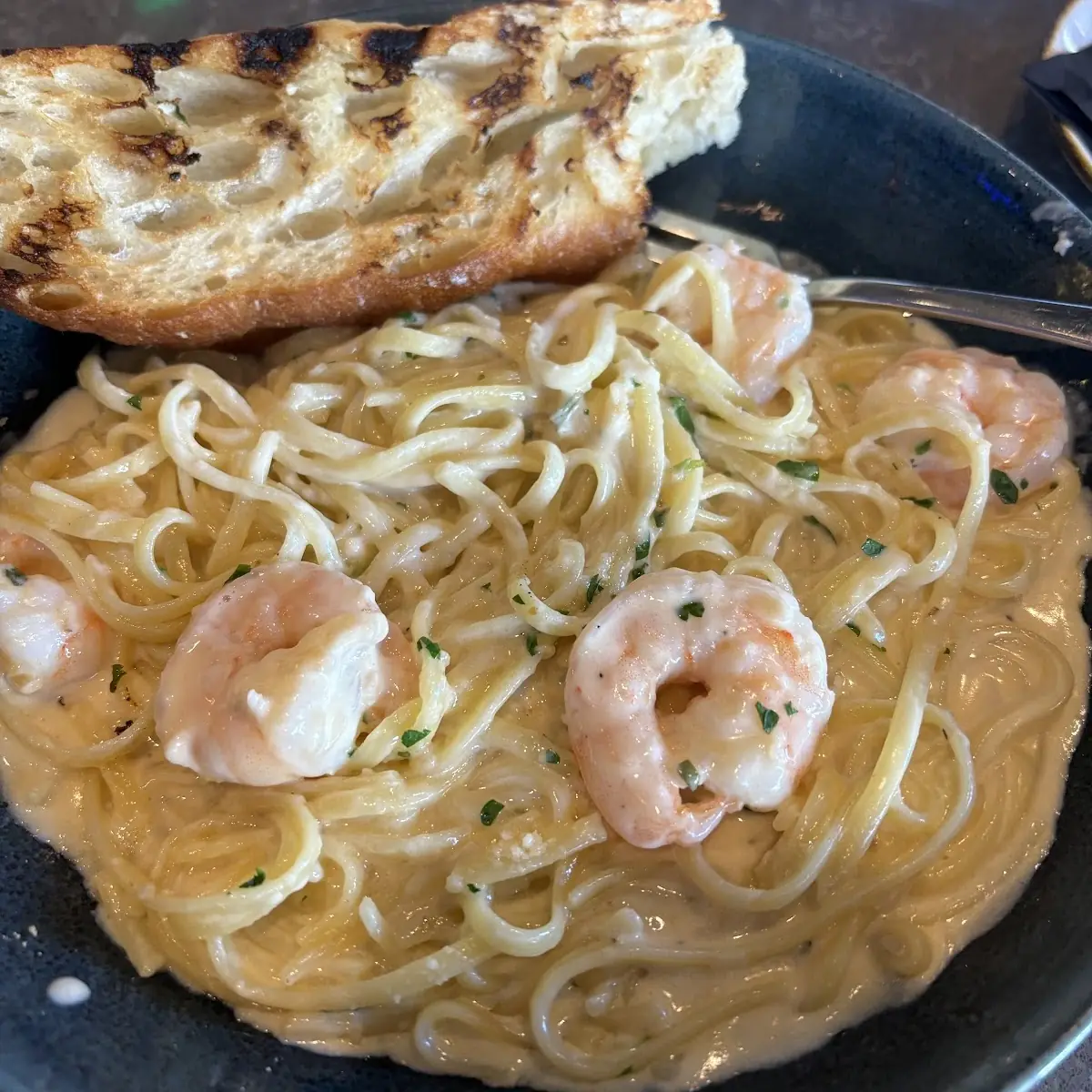 Shrimp Alfredo