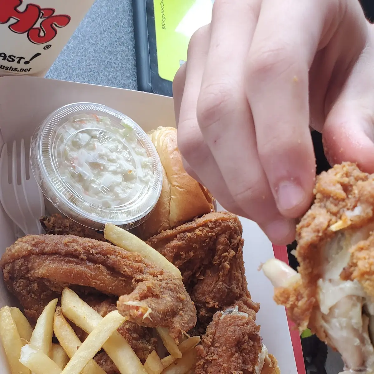 Chicken Wings and Fries