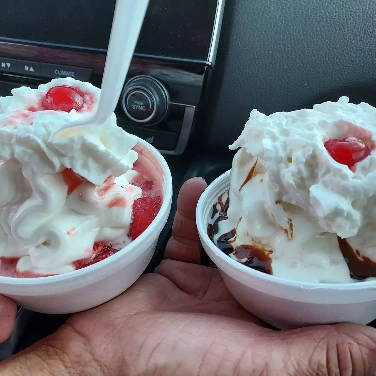 Hot Fudge and Strawberry Sundae