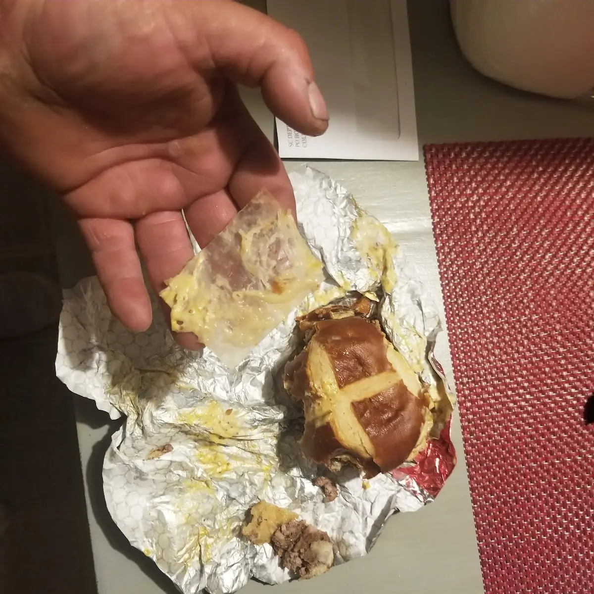 Trash in Your Cheese Burger