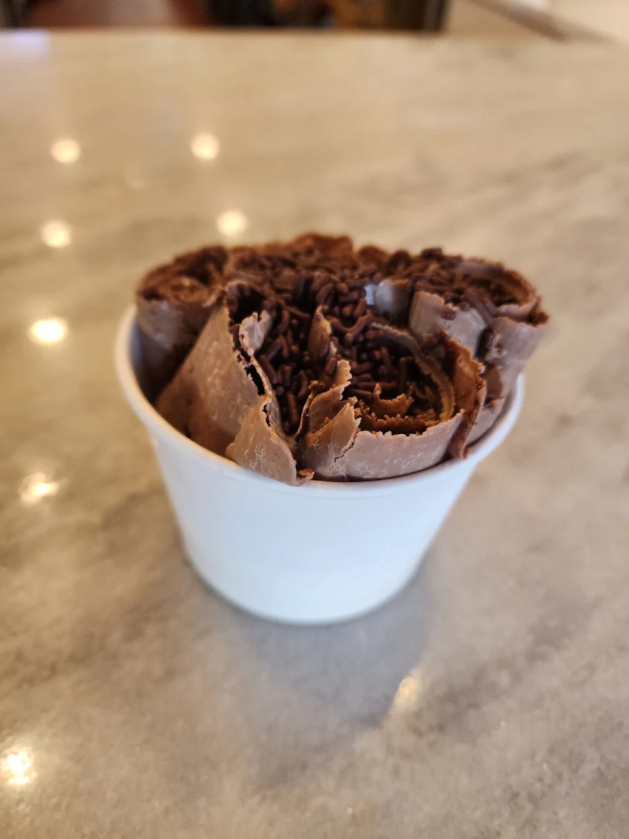 Chocolate Ice Cream