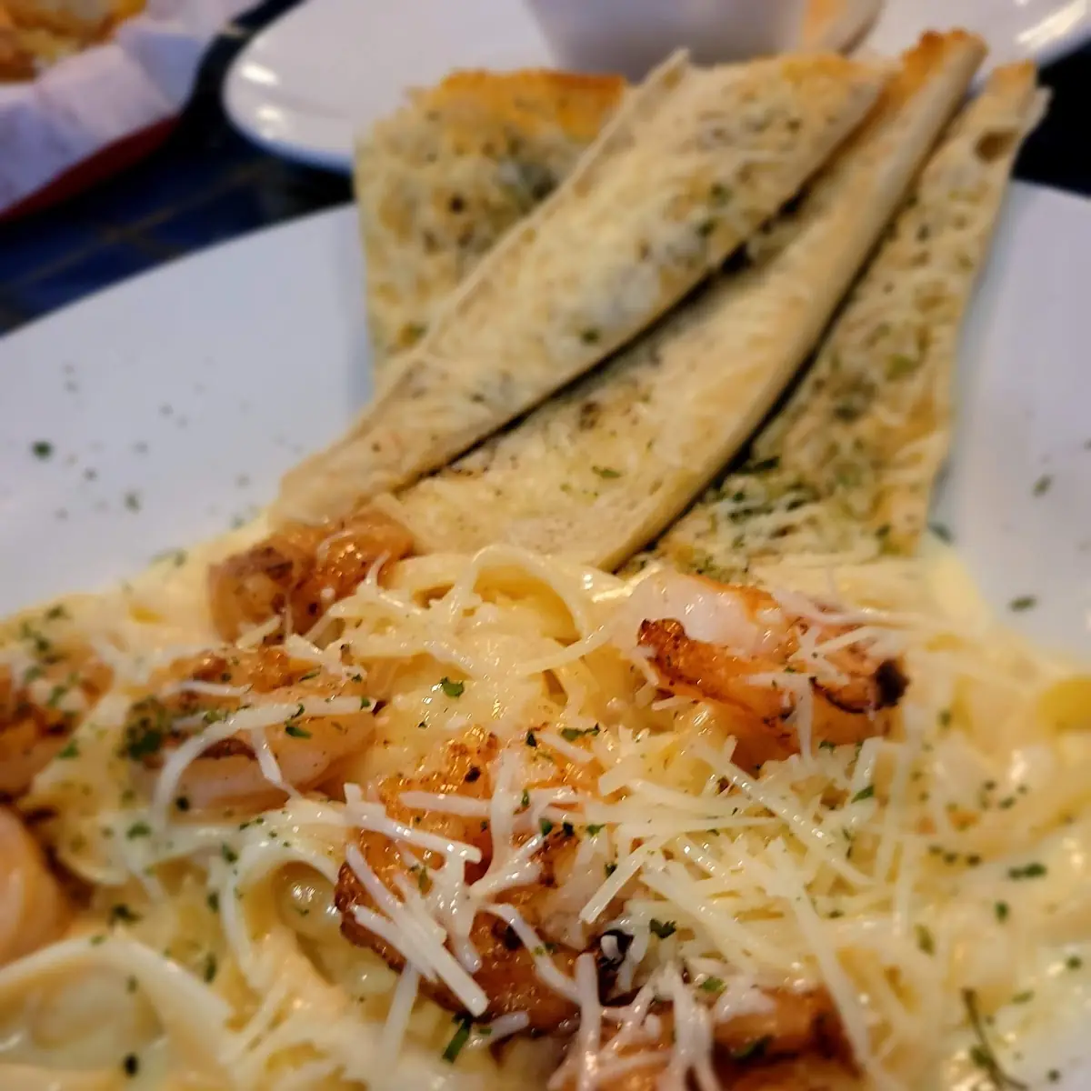 Shrimp Alfredo