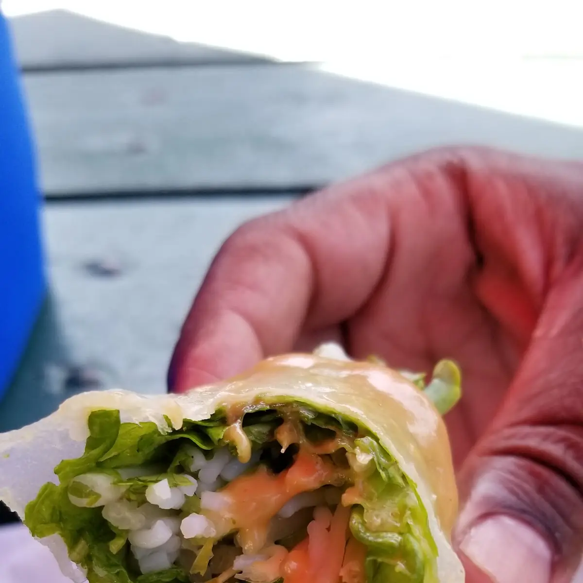 Spring Roll from Sunrise Bagels