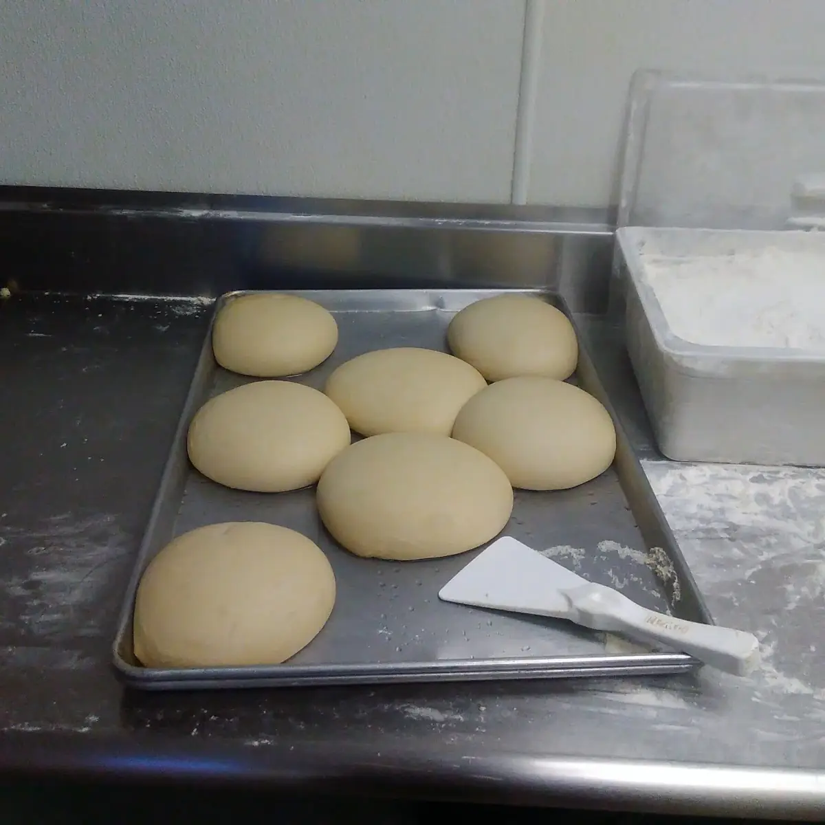Pizza Dough