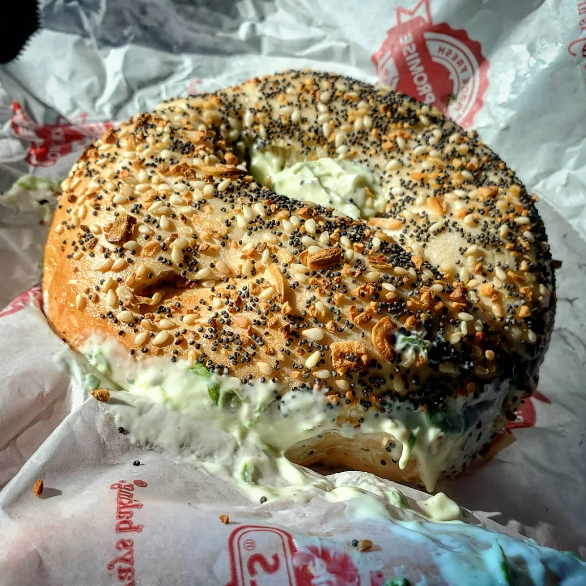 Babs' Choice Bagel