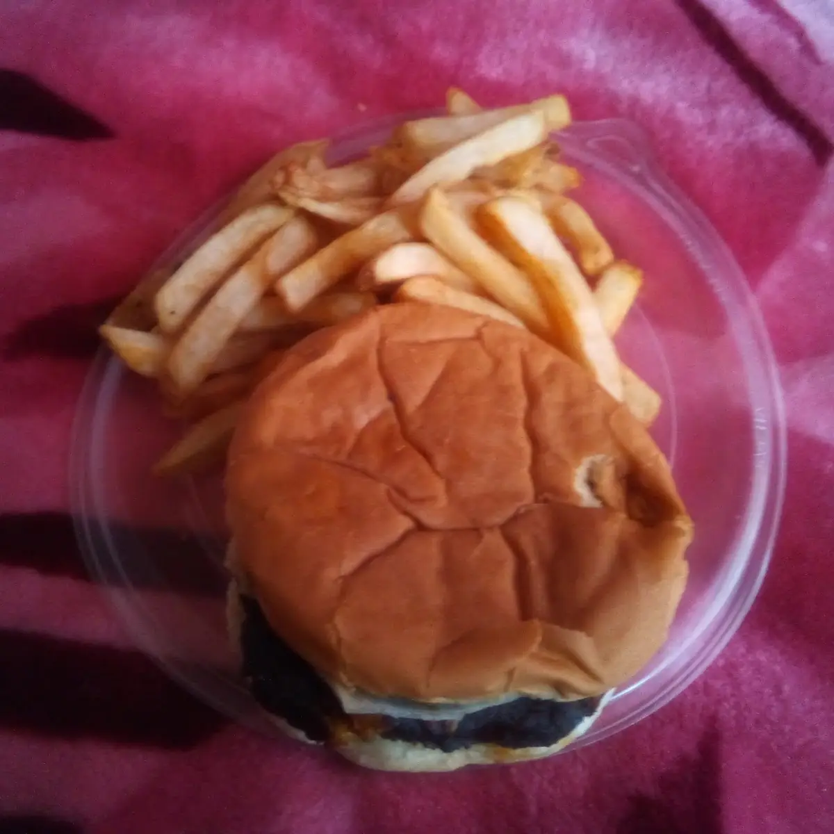 Black Bean Burger and French Fries