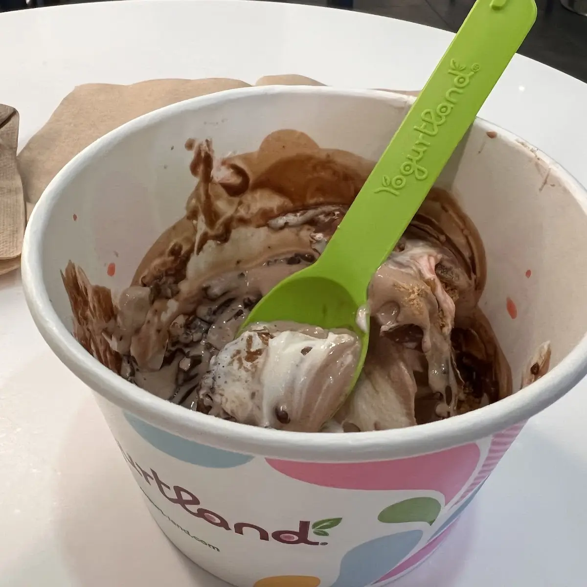 Rich Chocolate Ice Cream