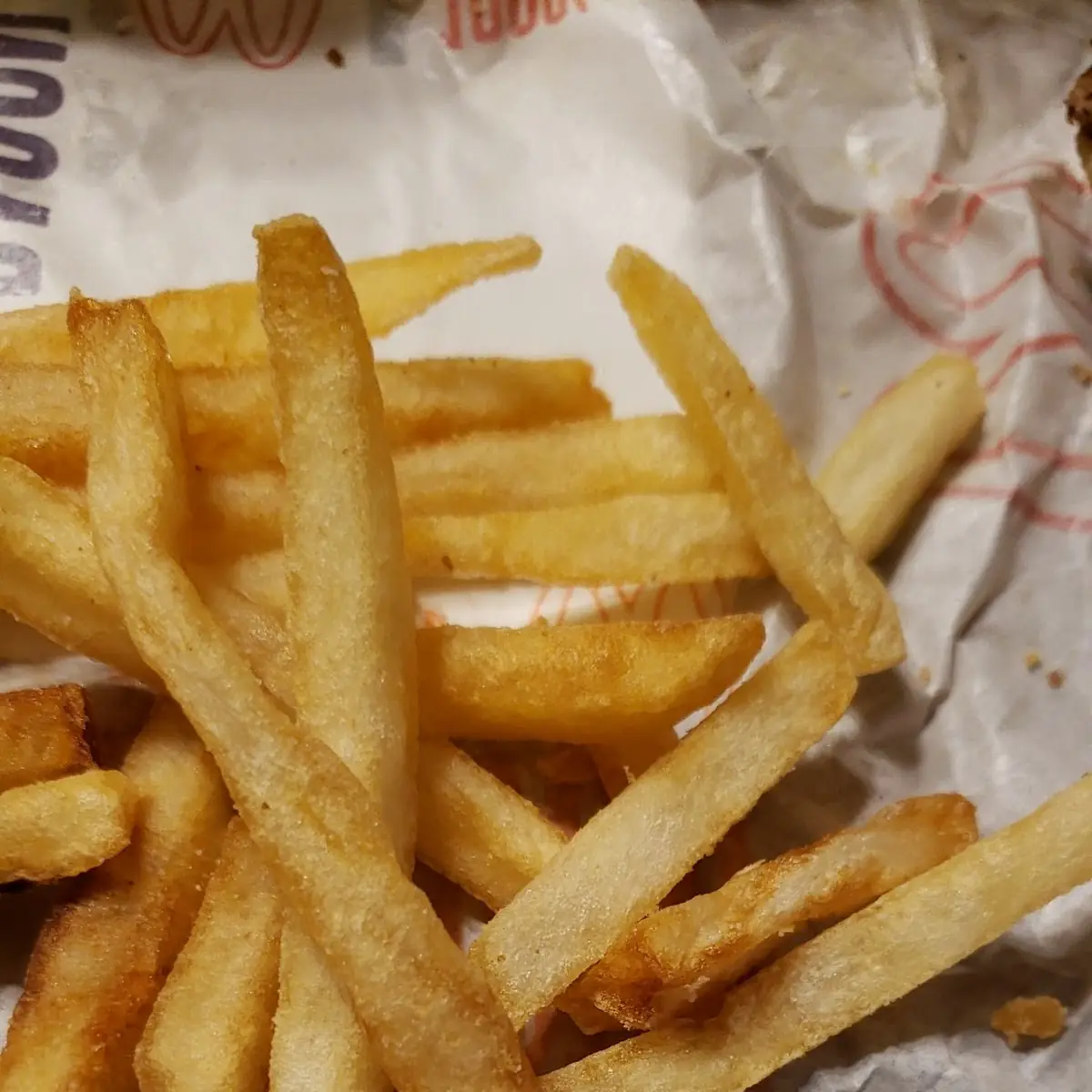 World Famous Fries