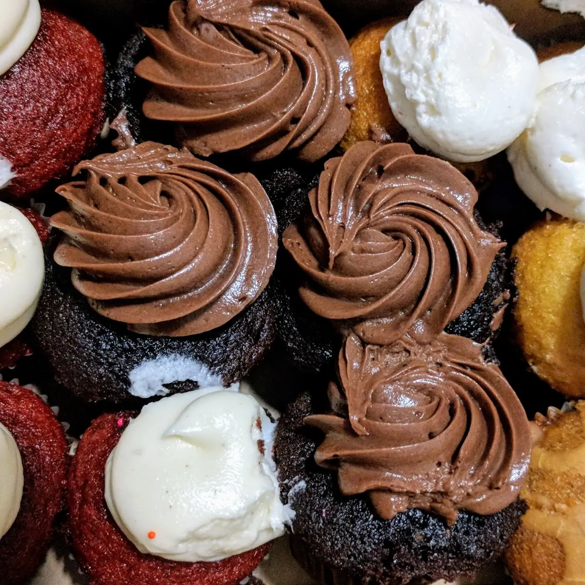 Assorted Mini Cupcakes