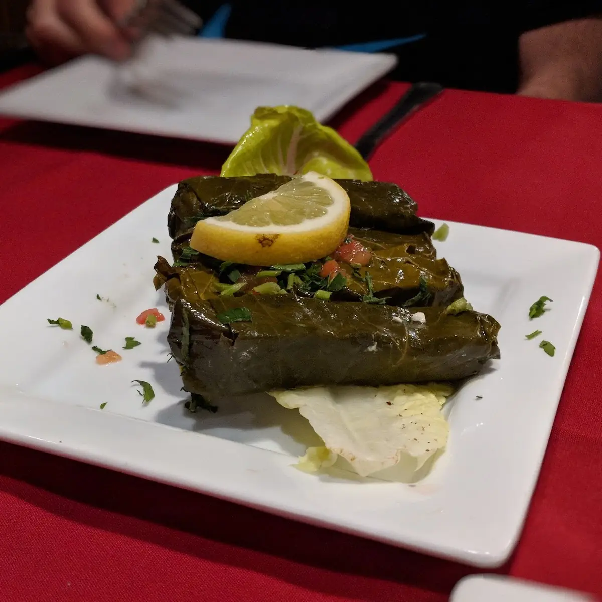 Stuffed Grape Leaves 4