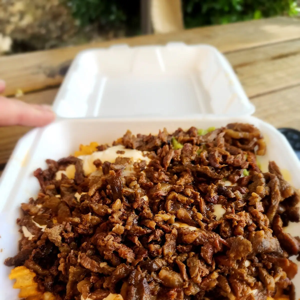 Carne Asada Fries