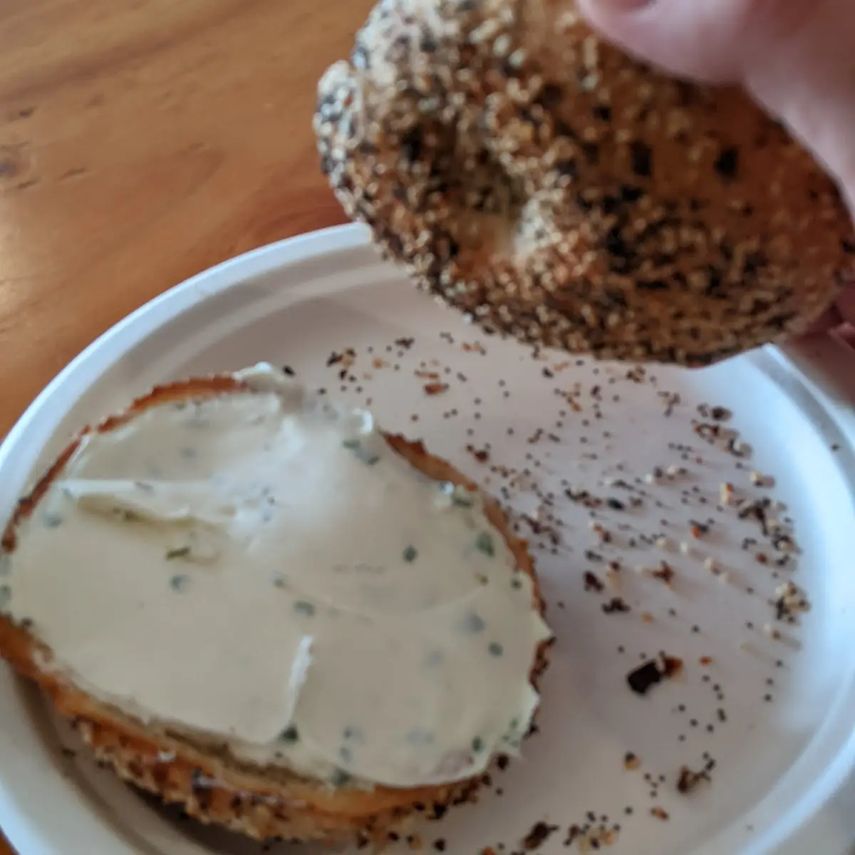 Everything Bagel with Chive Cream Cheese